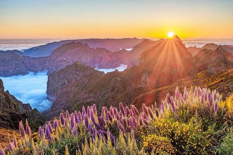 Winter warmer getaways
