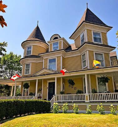 Moose and chips with extra trips