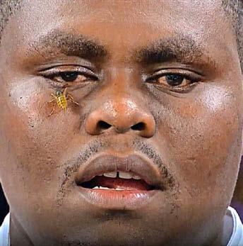 ALLY PALLY WASP IS RIGHT ON CUE