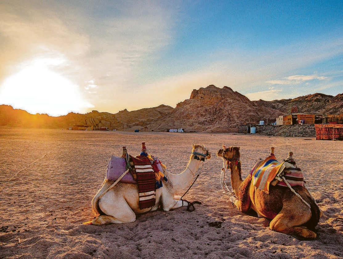Over the dune to find Egypt's real paradise