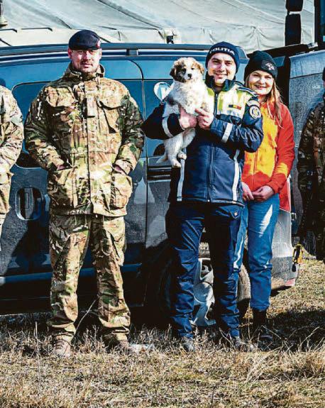 Warm-hearted squaddies bring stray pups in from cold