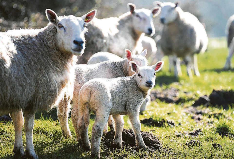 Wills' 'magical celebration' as spring arrives