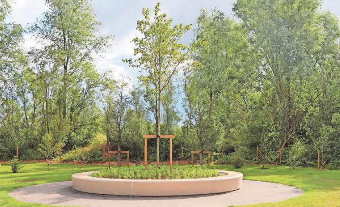 On fifth anniversary of Covid...a day to remember those who died