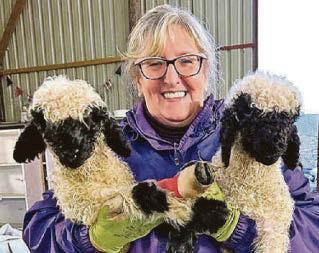 Renewable energy race hitting village life, says farmer