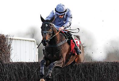 British pair flying the flag for France