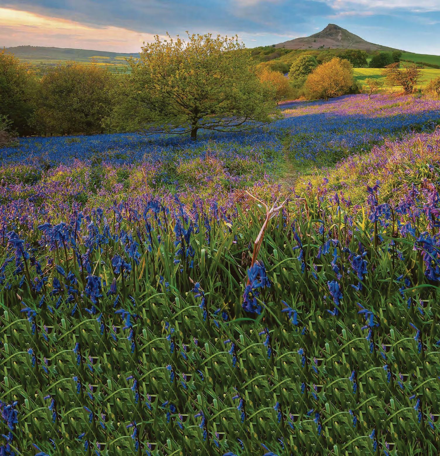 Villagers' 'fracking' fears for stunning national park