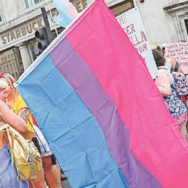 Flag display drives Tories up the pole!