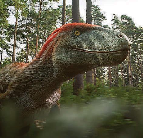 Dino team fall for an armoured charmer