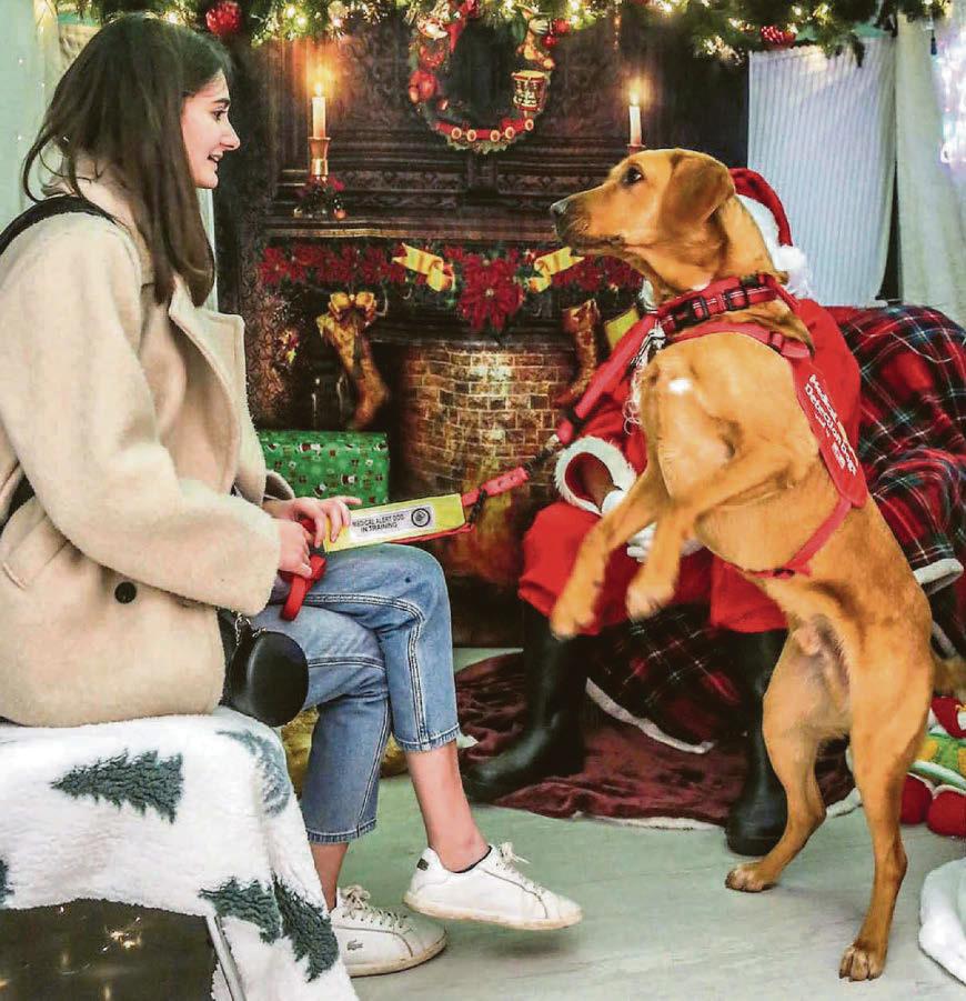 Desperate Daisy who faints 40 times a day 'saved' by miracle dog