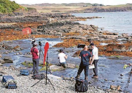 Meet dino Rose... a new star in the Skye