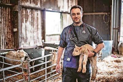 Fears Britain not ready for animal disease outbreak
