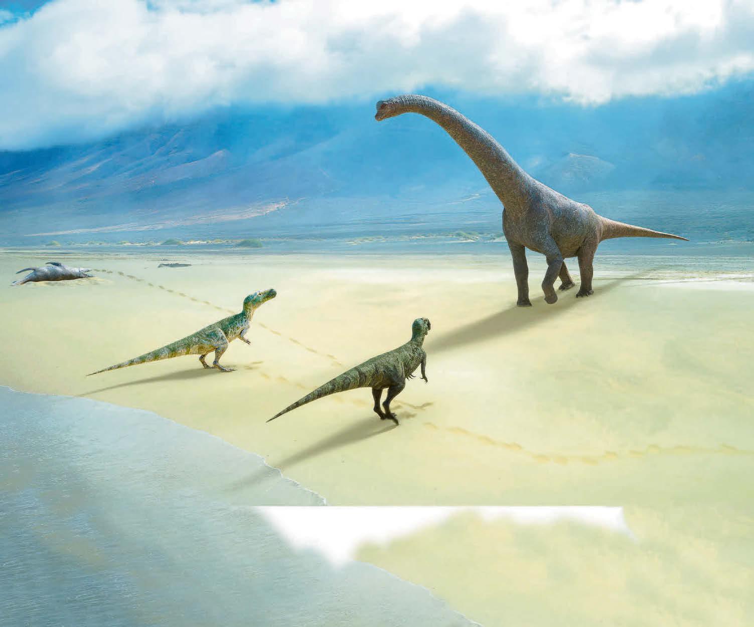 Discoveries of epic proportions