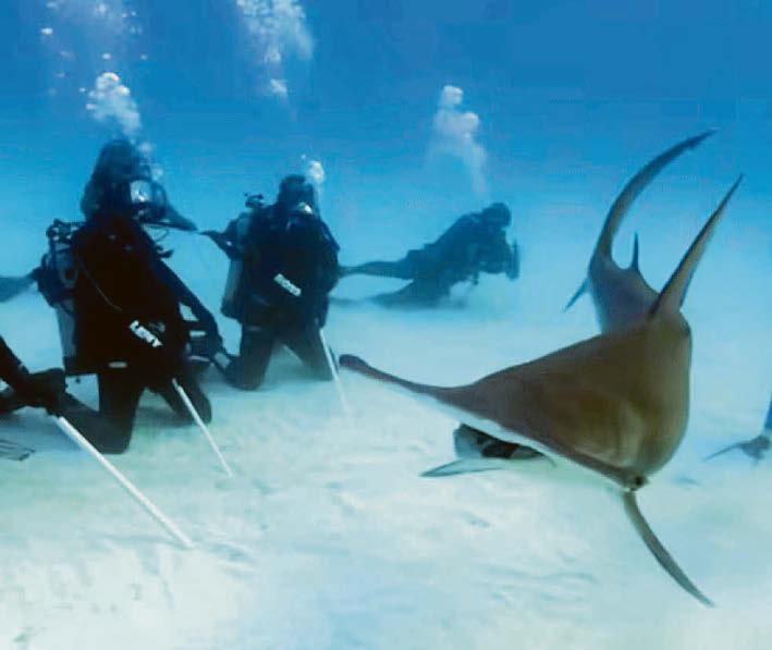 Is this ITV's 'jump the shark' moment?