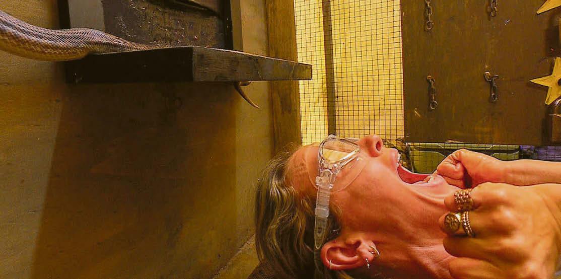 Snakes alive! Bushtucker Trial is a real scream
