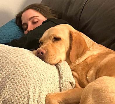 Tashi the wonder dog saved me from life of fainting hell