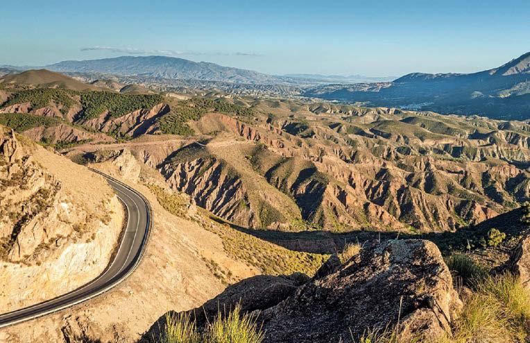 Step right up for winning walks