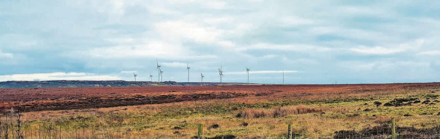 Consultation on windfarm plan