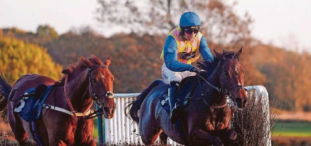 HORSE POWER Chemical may have right formula for Fakenham