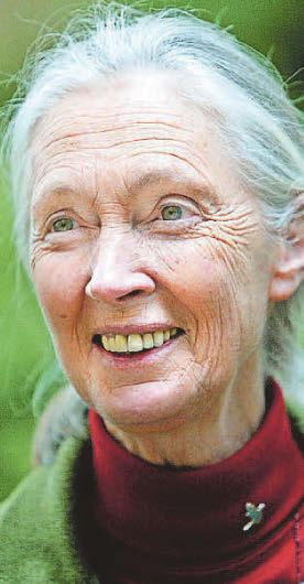 Attenborough leads tributes to Goodall