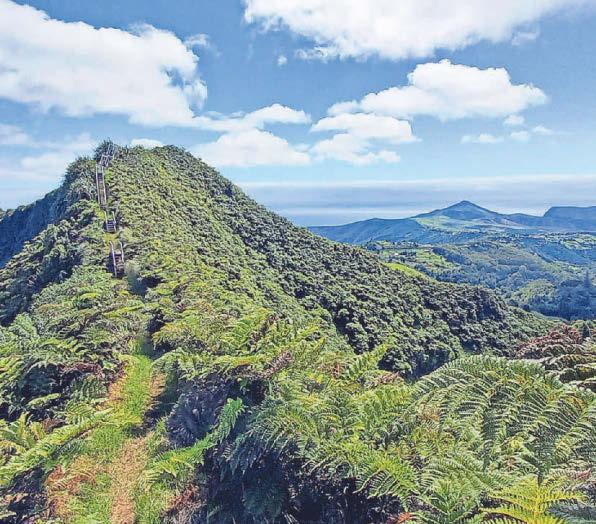Lemurs, eagles and cloud forest receive UK conservation funds