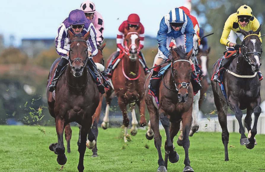 Delacroix set to star on Champions Day at Ascot