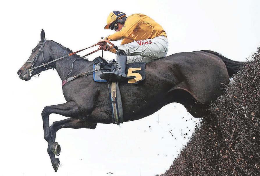 Imperial Saint to win Old Roan Chase at Aintree