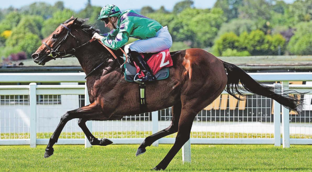 High-class Prague set to secure Robin Hood Stakes riches