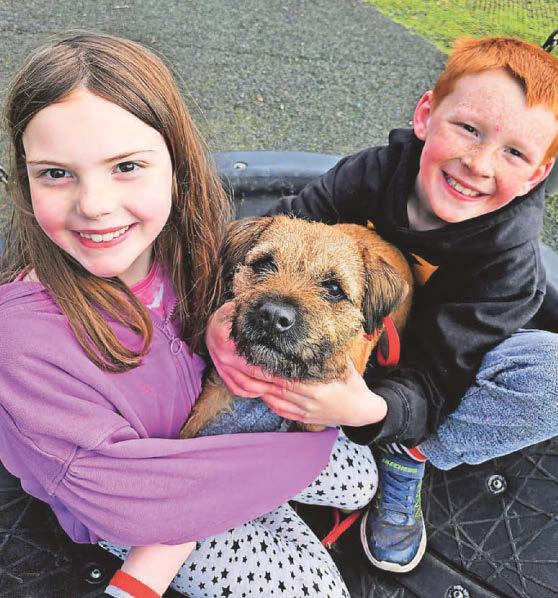 'You never knew I was a gun dog did you Dad?'