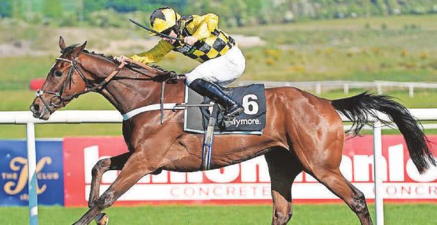 HORSE POWER Lulamba to come through new test in winning style