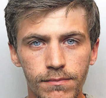 Predator arrested hours after attack