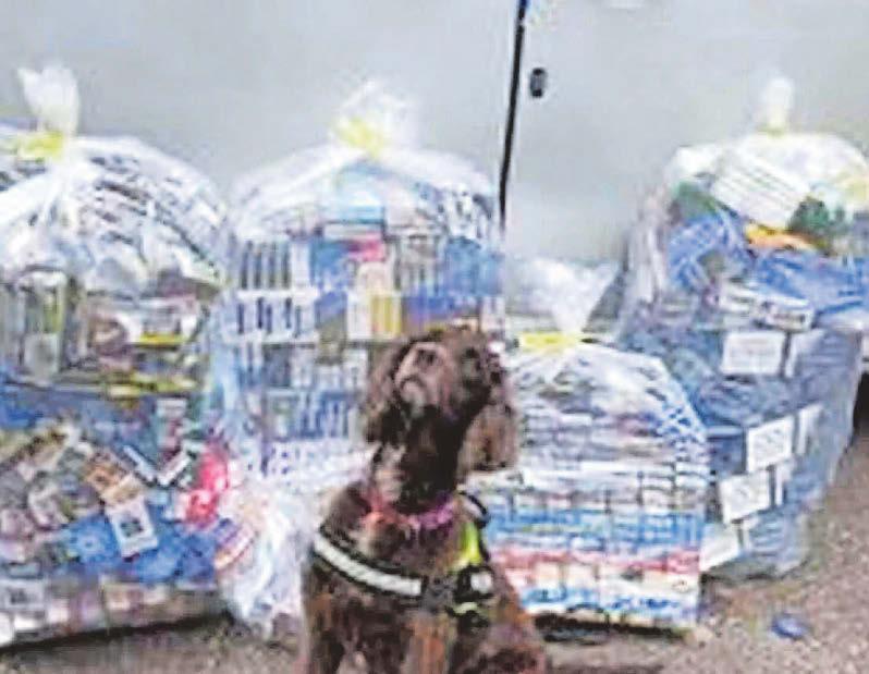 Salons and vape shops raided in crackdown