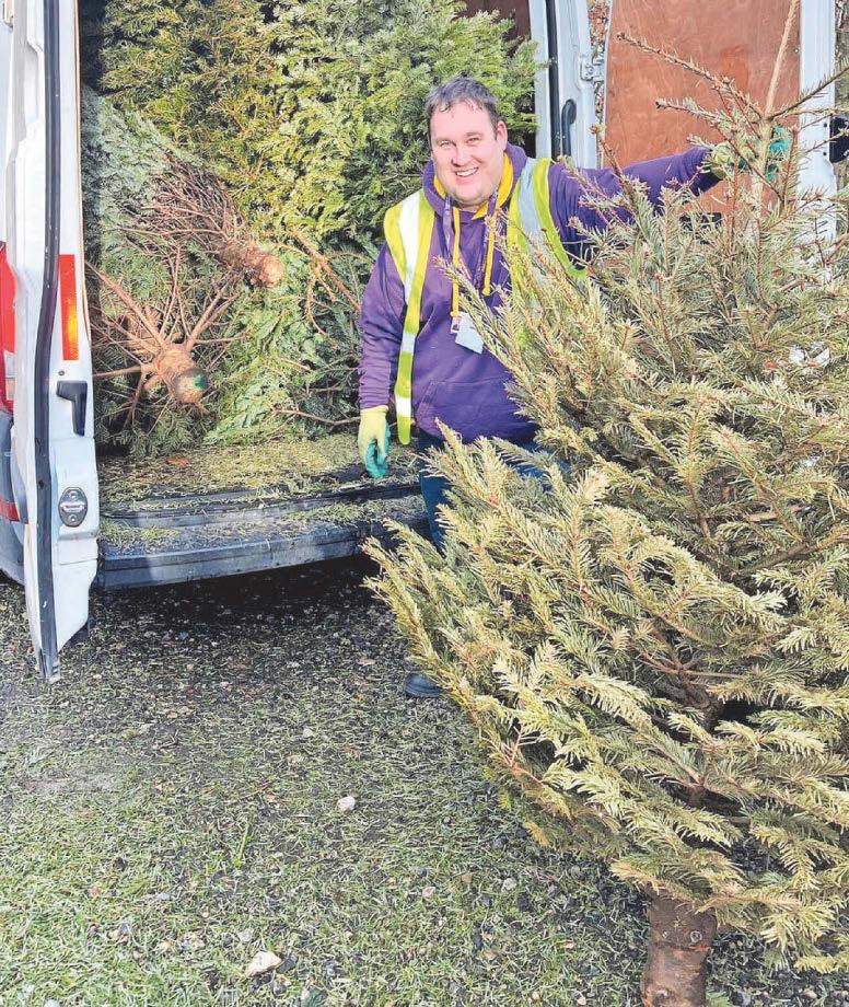 Hospice Christmas tree recycling service returns