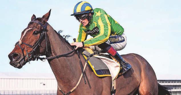 Horse Power Torn and Frayed can pick up pieces at Cheltenham