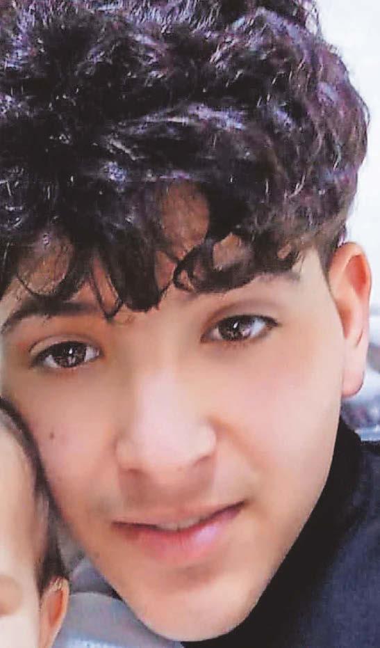 Honours for police who tried to save dying teen