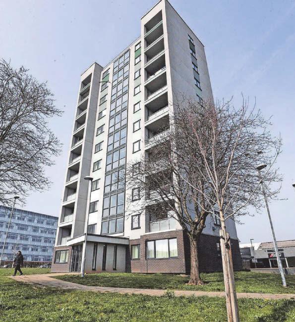 Woman attacked by dogs near flats