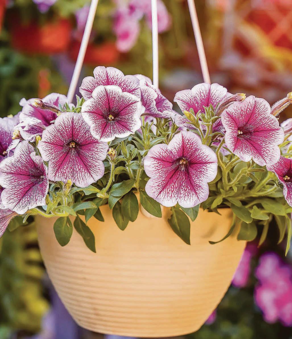 Get ready now to spring into action