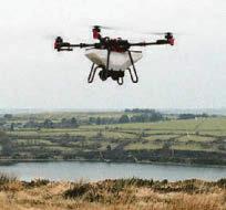 Drones take root in tree seed drops
