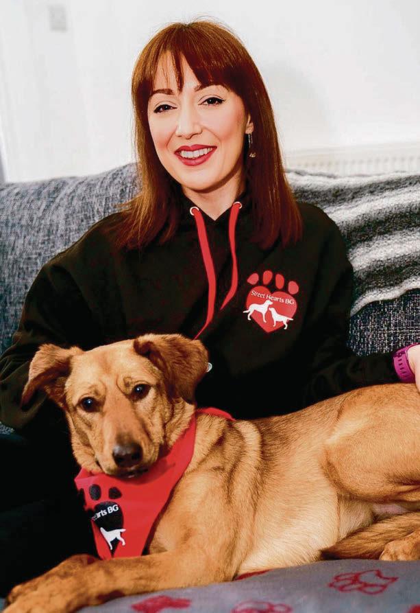 'I ADOPTED A DOG ABANDONED IN A LIDL CAR PARK – I NOW HELP REHOME PUPS'