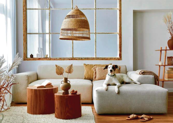 PET-PROOF YOUR HOME