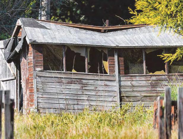 Diana's home left to rot