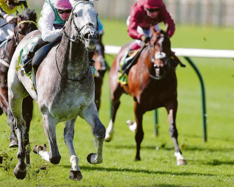 RACING: IT'S ROYAL ASCOT HAVE A FIELD DAY