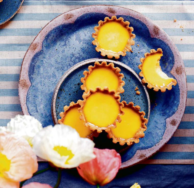 SUNNY DELIGHTS