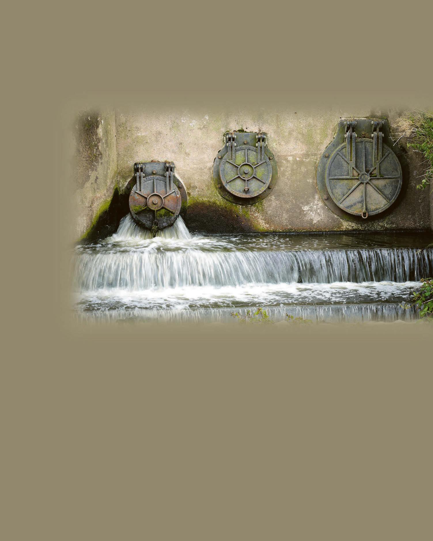 PLEDGE TO HALVE WATER POLLUTION
