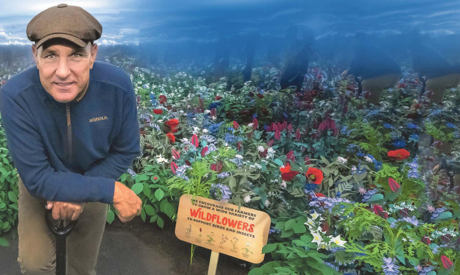 Lock, stock & two smoking barn owls