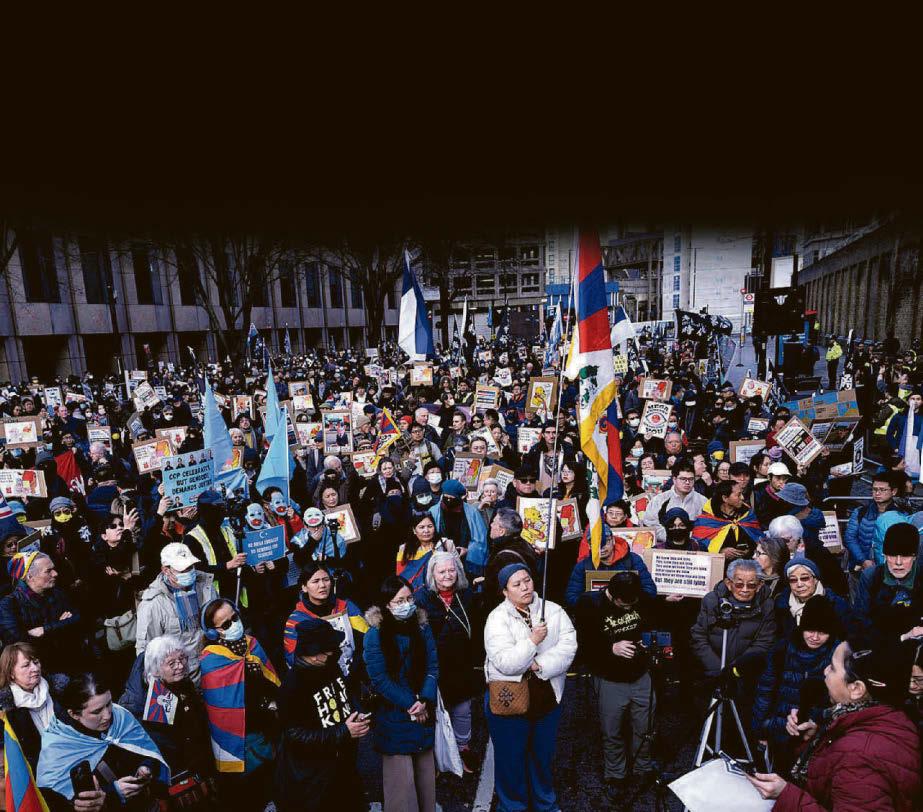 China embassy plan demo