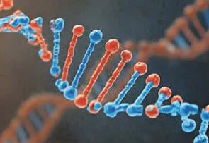 Cancer risk database 'will speed treatment'