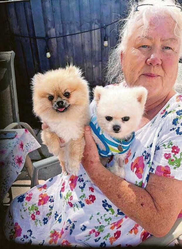 Cruel thief stole my little dog as I helped stranger