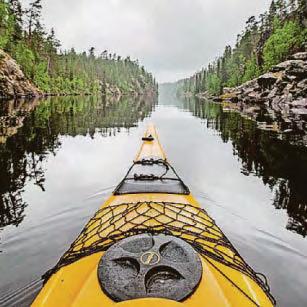 NATURAL FINNISH