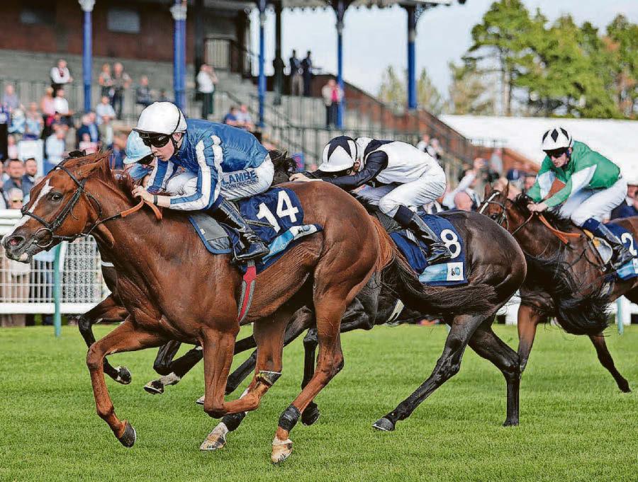 Star Of Mehmas to win the Scurry Stakes at Sandown