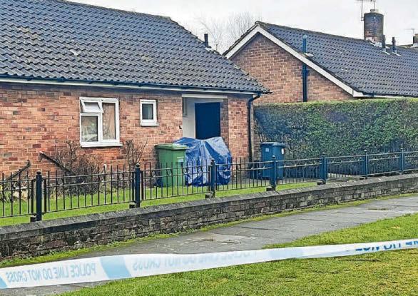 Man accused of murdering his dad after row over dog